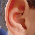 Parksville Hearing Clinic logo