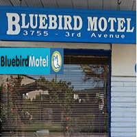 Bluebird Motel logo