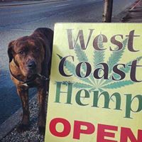 West Coast Hemp Inc logo