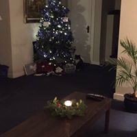 Deer Lodge Motel logo