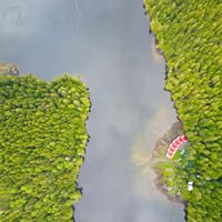 Nimmo Bay Resort Ltd logo