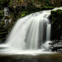 Errington War Memorial Hall logo