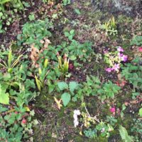 Blenkinsop Valley Golf Centre logo