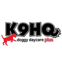 K9hq Doggy Daycare Plus logo
