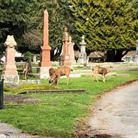 Ross Bay Cemetery logo
