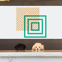 Design District Access logo