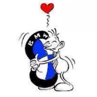 Vcm Auto Service Inc logo