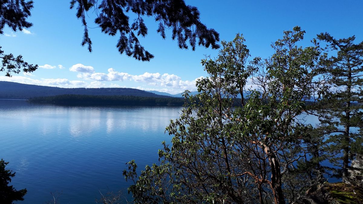 St Matthias Anglican Church logo