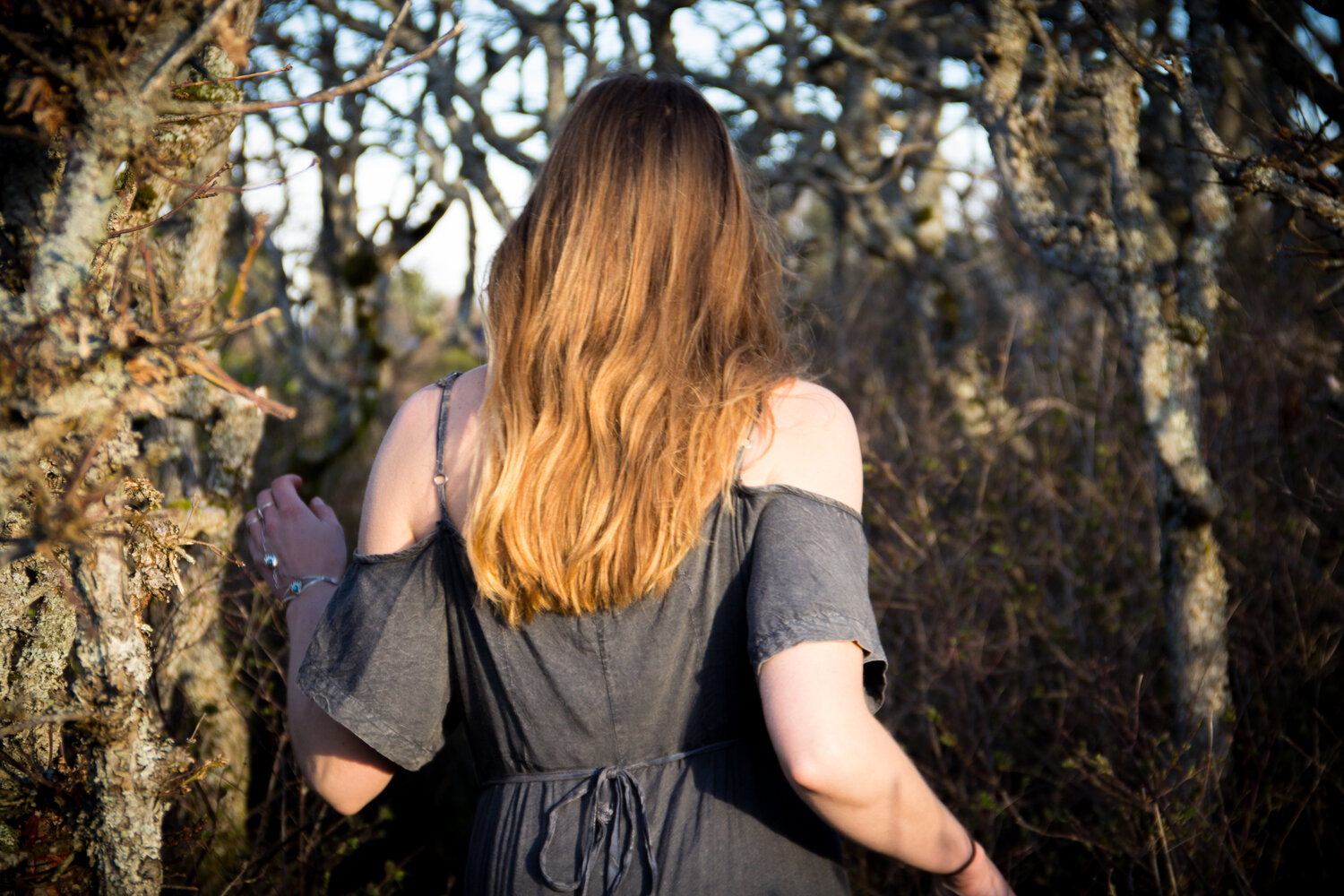 Dr Rachel Worth-Cappell logo