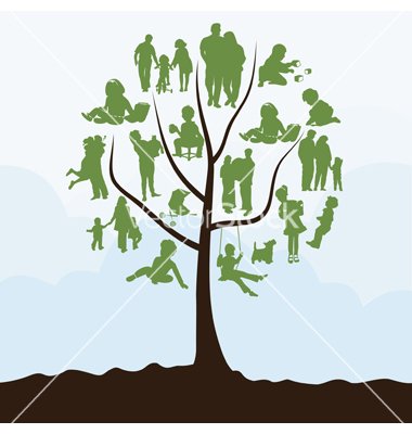 Brown Henderson Melbye logo