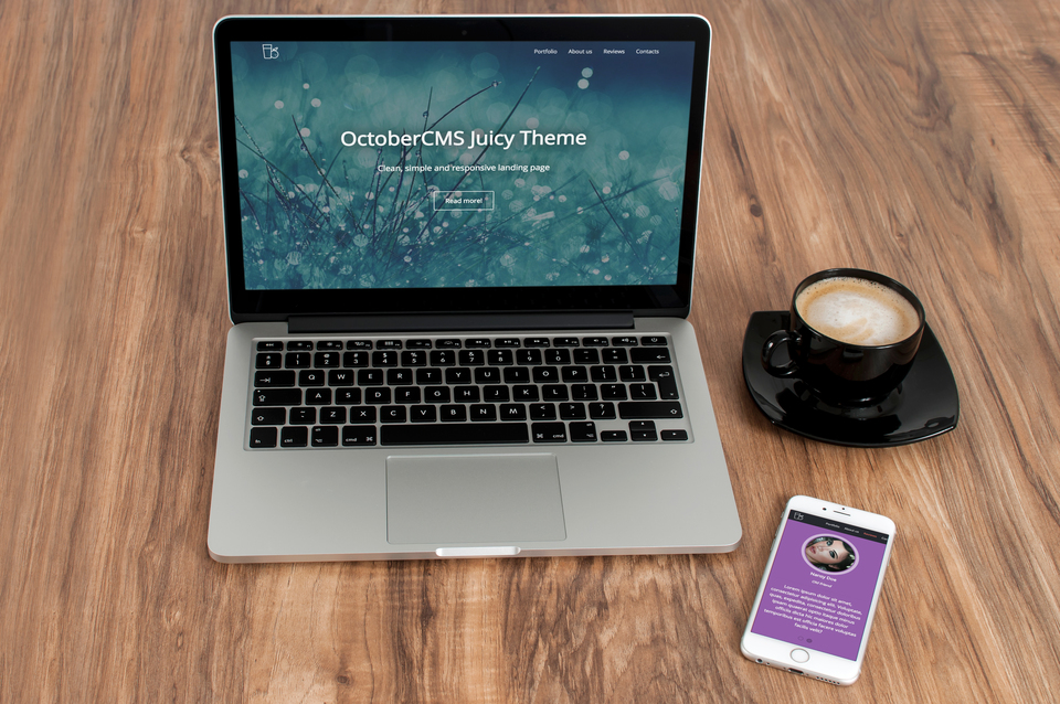 Saisons Osteopathy  - Lucas VERGNETTES DO(FR) logo