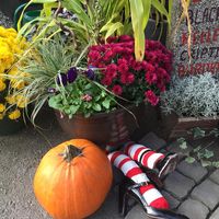 Green Thumb Nurseries logo