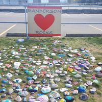 Randerson Ridge School logo