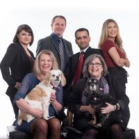 Strain & Company logo