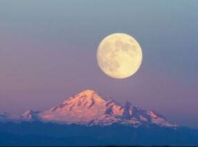 Solstice Moon Counselling & Art Therapy logo