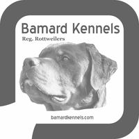 Bamard Kennels logo