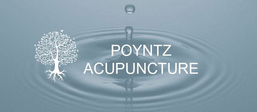 Poyntz Acupuncture logo