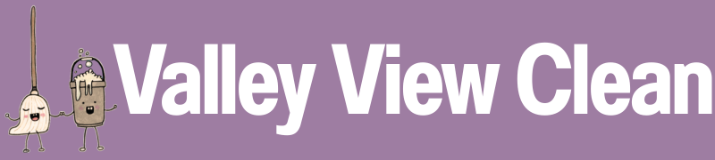 Valley View Clean logo