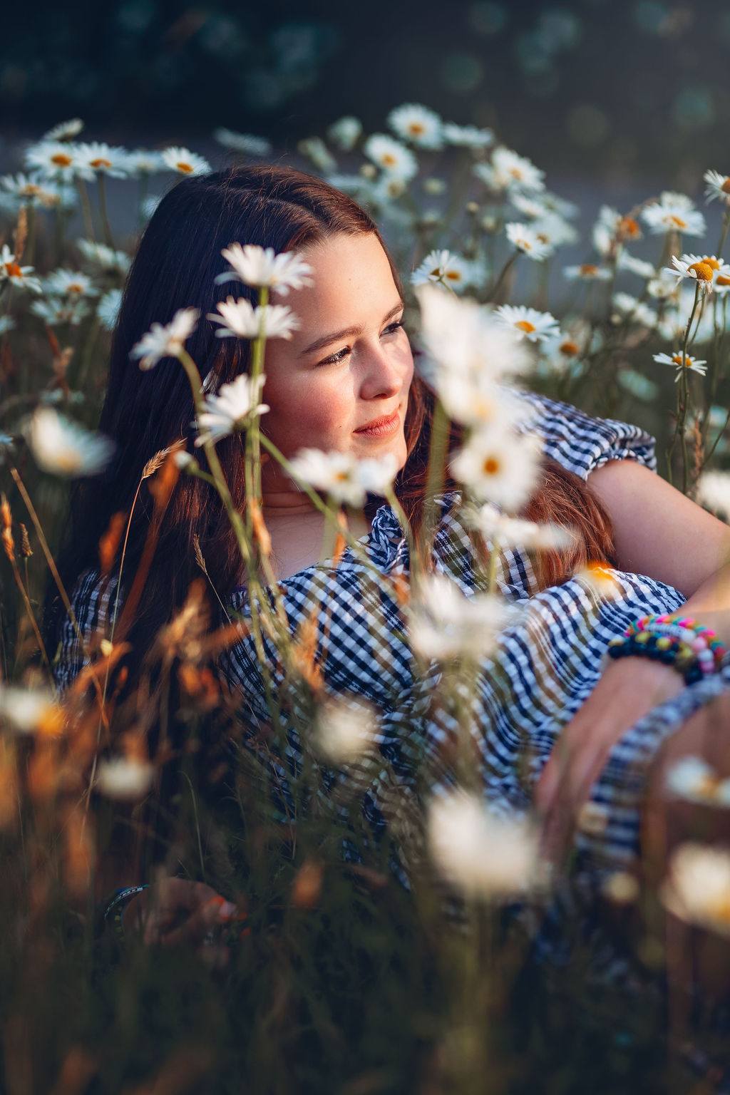 Ambient Imagery Photography logo