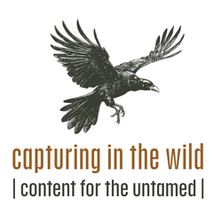 Capturing in the Wild logo